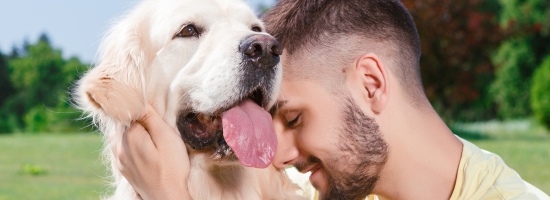 dierentolkfotoartikel