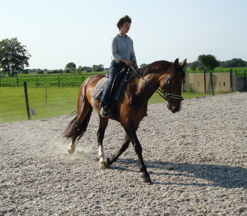 ria van der veeken en paard