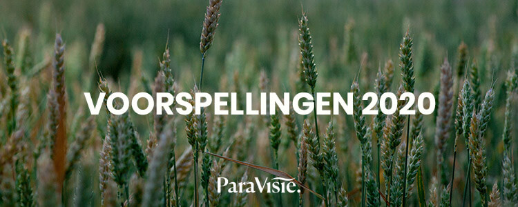 toekomst voorspellingen 2020