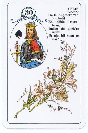 De lelie
