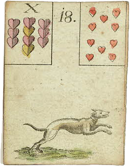 De hond
