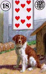 lenormand kaart de hond